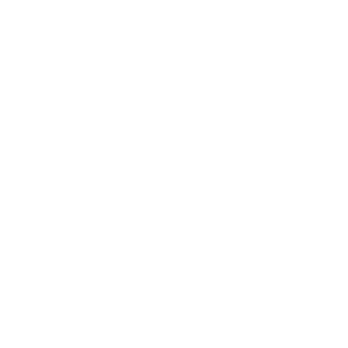 logo blanc team Elles